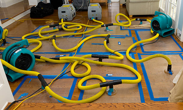 Professional Basement Flood Cleanup technician working in Melbourne, KY